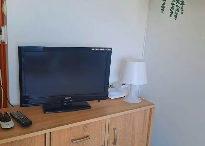 Apartment Cozy Stadium Timişoara