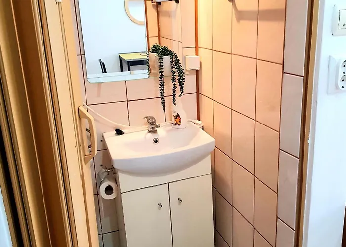 Cozy Stadium Apartment Timişoara