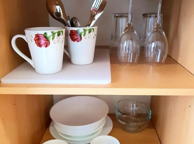 Cozy Stadium * Timişoara